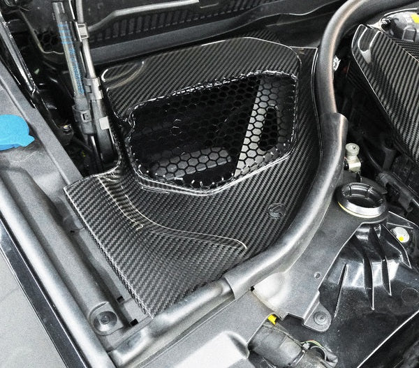 F90 M5/G30 Dry Carbon Fiber Rear Air Vent Covers