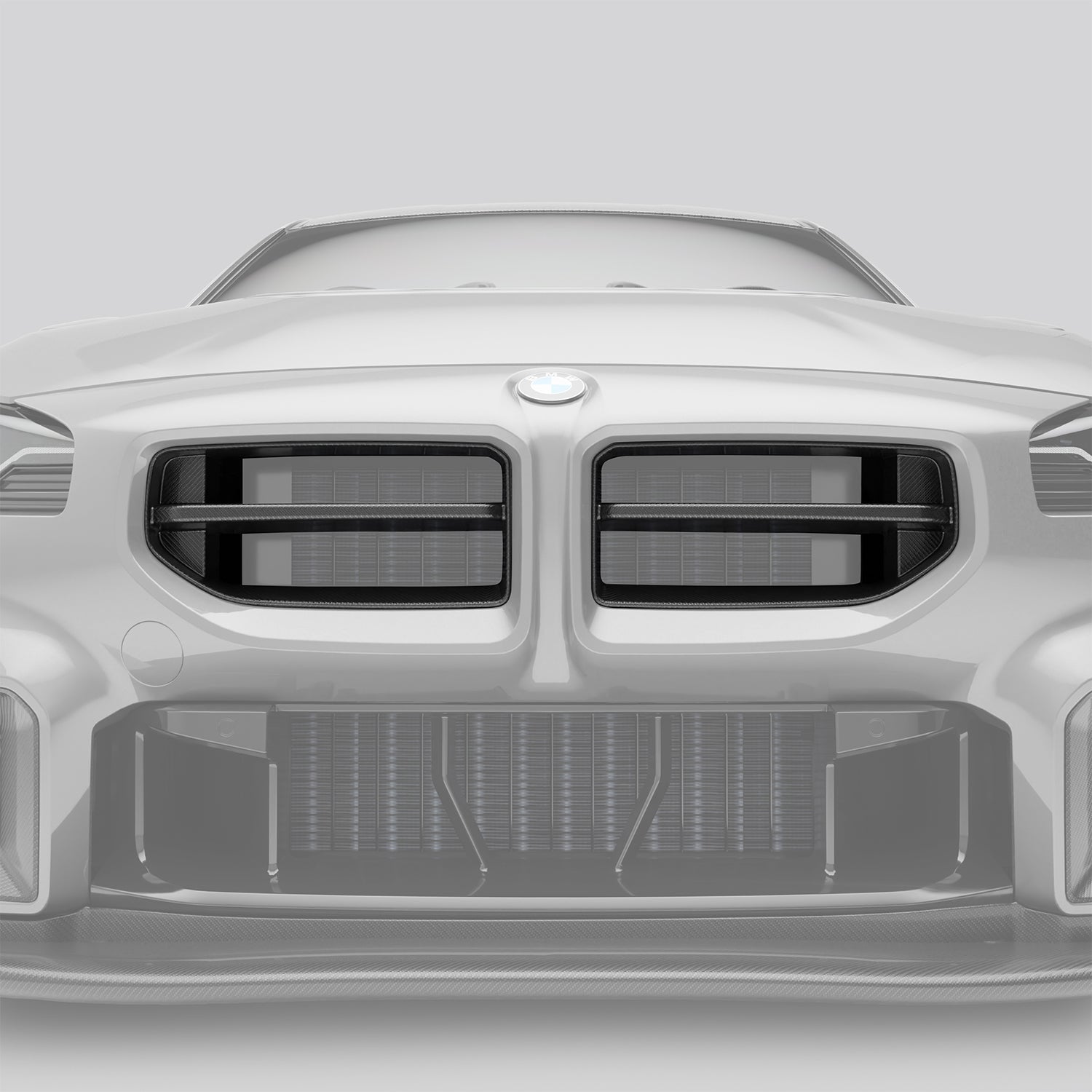 BMW M2 G87 Carbon Fiber Front Grill - Revozport